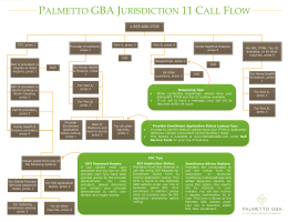 Palmetto GBA Jurisdiction 11 Call Flow