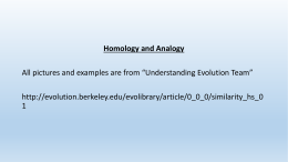 Homology and Analogy student guided powerpt