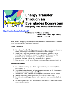 Energy Transfer Through an Everglades Ecosystem