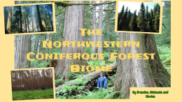 The Northwestern Coniferous Forest Biome