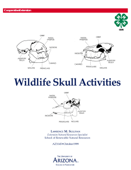 Wildlife Skull Activities - Cooperative Extension