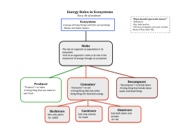 Energy Roles in Ecosystems - District 196 e