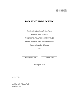 dna fingerprinting - Worcester Polytechnic Institute