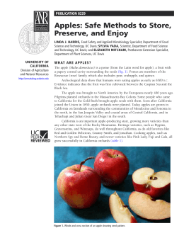 Apples: Safe Methods to Store, Preserve, and Enjoy