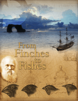 Finches to Fishes notebook.indd