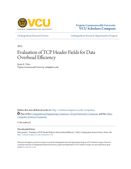 Evaluation of TCP Header Fields for Data Overhead Efficiency