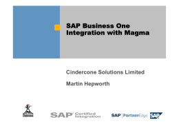 SAP Business One Integration with Magma