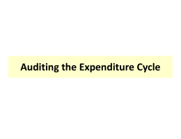 Auditing the Expenditure Cycle