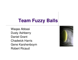 Team Fuzzy Balls