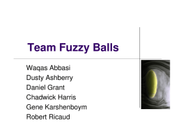 Team Fuzzy Balls