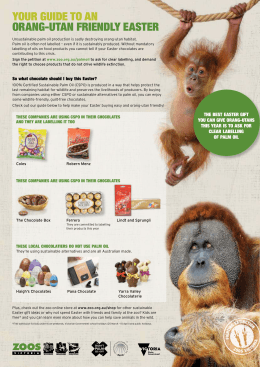 Your guide to an orang