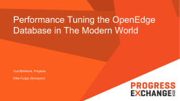 Performance Tuning the OpenEdge Database in The