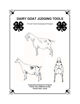 Dairy Goat Judging tools - The Judging Connection .com