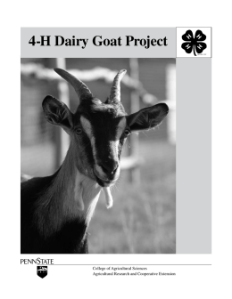 4-H Dairy Goat Project
