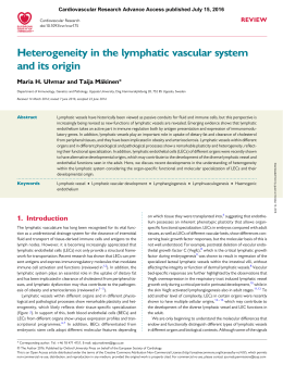 Heterogeneity in the lymphatic vascular system and its origin