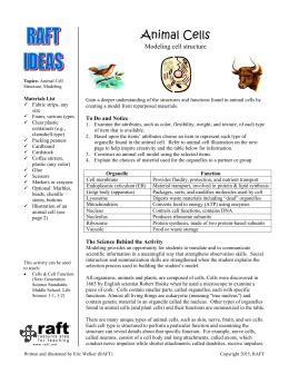 Animal Cells - Resource Area For Teaching