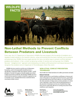 NRDC: Non-Lethal Methods to Prevent Conflicts Between Predators