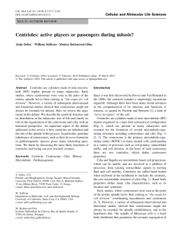 Centrioles: active players or passengers during mitosis?