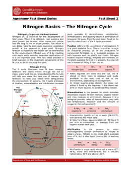 Nitrogen Basics – The Nitrogen Cycle