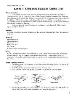 Lab 5H - Comparing Plant and Animal Cells PDF