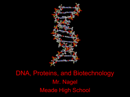 DNA, Proteins, and Biotechnology