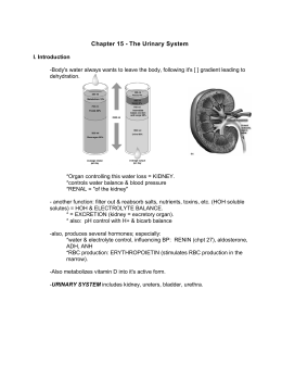 Chapter 15 - The Urinary System