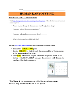 Human Karyotyping Worksheet