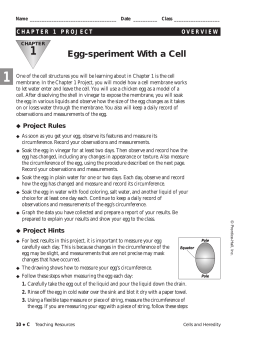 Egg-speriment With a Cell