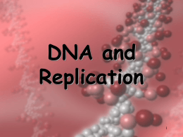 DNA Replication - Ms. Perez`s Science