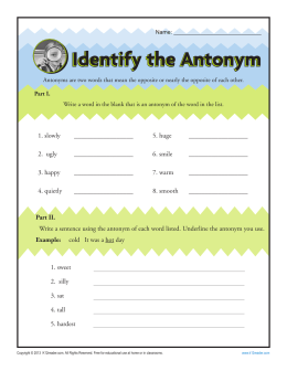 Identify The Antonym | Antonym Worksheet