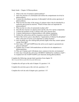 Study Guide – Chapter 10 Photosynthesis