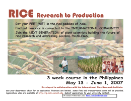 Information - rice-flyer-11
