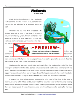 Wetlands - Super Teacher Worksheets