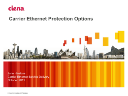 Carrier Ethernet Protection Options