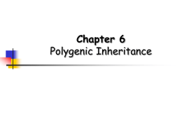 Chapter 6 Polygenic Inheritance