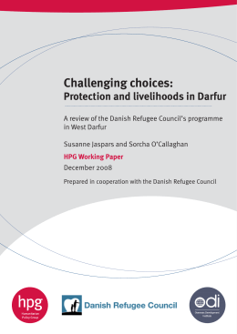 Challenging Choices: Protection and livelihoods in Darfur