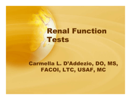 Renal Function Tests