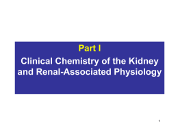 PPT Renal Lecture Slides