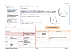 Enzymes revision - Teachit Science