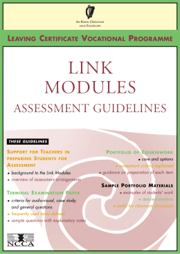Link Modules Assessment Guidelines