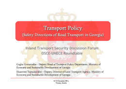Ministry of Economic Development of Georgia Transport Department