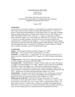 Aristolochia littoralis - Hawaiian Ecosystems at Risk project (HEAR)