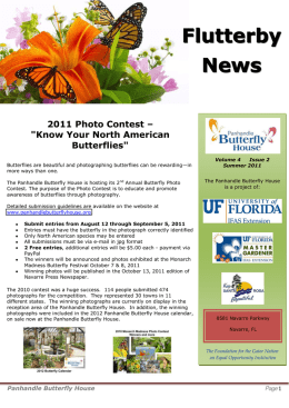 PowerPoint Template - Panhandle Butterfly House