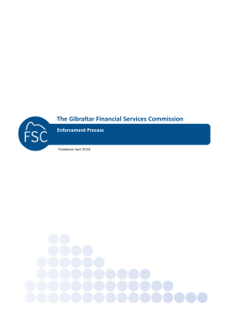 Enforcement Process Document - Financial Services Commission