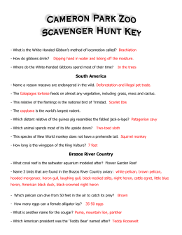 Scavenger Hunt-key