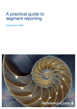 A practical guide to segment reporting