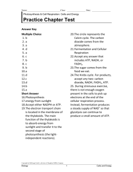 Practice Chapter Test