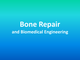 Bones Repair and Biomedical Engineering