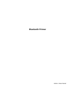 Bluetooth Primer - Wayne State University