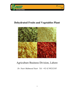 Dehydrated Fruits And Vegetables Plant